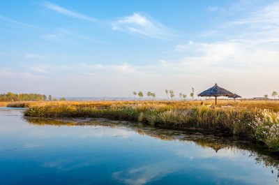 宁夏正式恢复跨省团队旅游,景区预约管理常态化