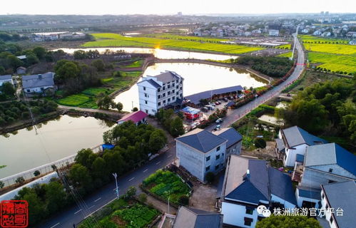 发展 旅游 ,助力全域游 黄上峰局长指导株洲县全域旅游编制规划工作