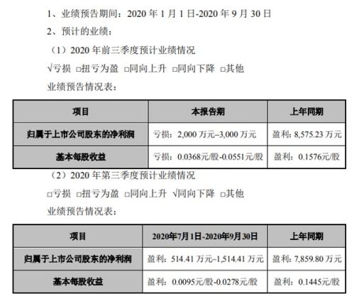 希努尔2020年前三季度亏损2000万至3000万 文旅业务发展不及预期